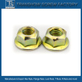 American Standard Prevailing-Torque Hex Flange Nut